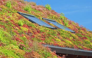 Whitbarrow Village living roof systems